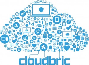 cloudbric-cloud-300x219-1